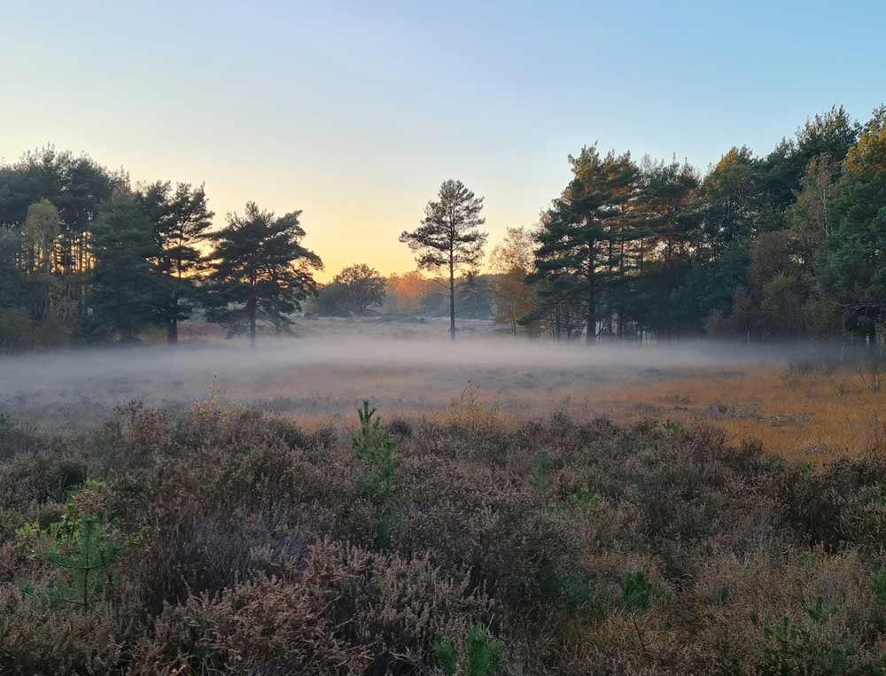 Areas we cover - Woking