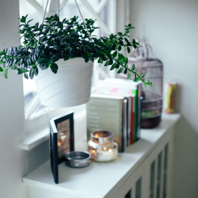 Home Trends for 2021